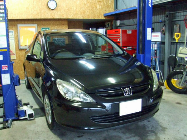 PEUGEOT 307